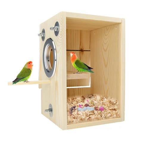 sun conure nesting box design